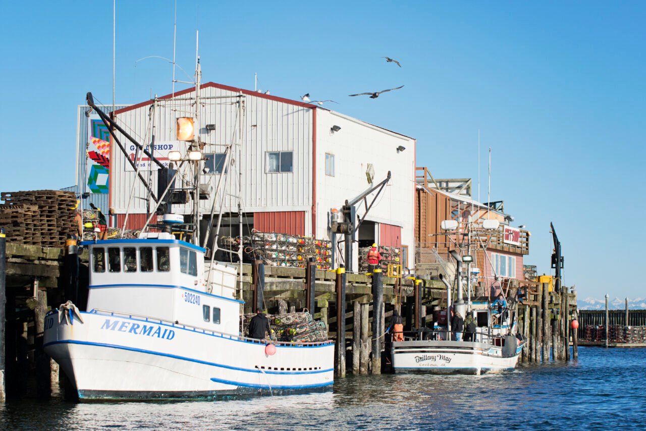 Westport Marina & Charter Fishing